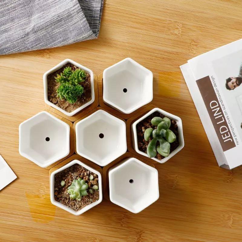 Floroux ceramic plant container | With bamboo saucer | Modern design for succulents