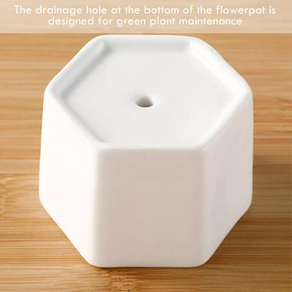 Floroux ceramic plant container | With bamboo saucer | Modern design for succulents