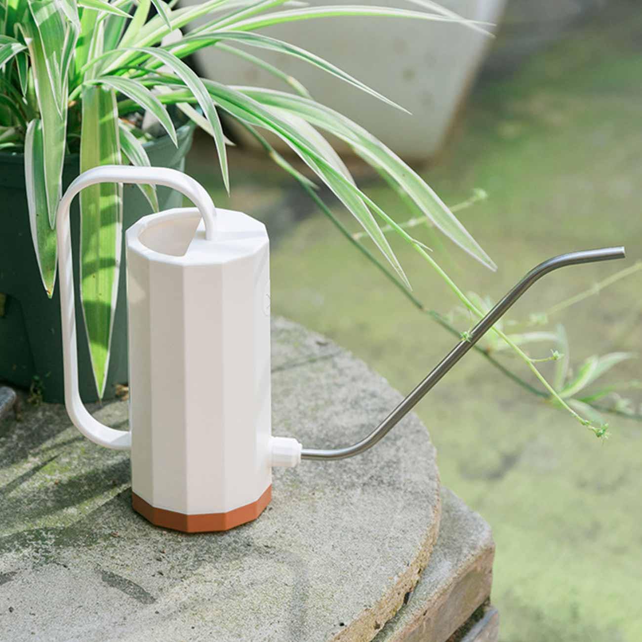 Floroux Watering Can with Swan Neck | Modern Geometric Design | Perfect Plant Care