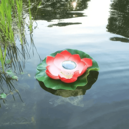 Floroux | Fontaine flottante enchanteresse