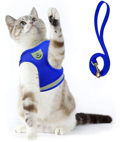 AdventureKit - Harnais Securisé pour Chats Aventuriers