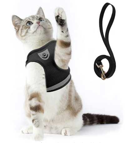 AdventureKit - Harnais Sécurisé pour Chats Aventureux