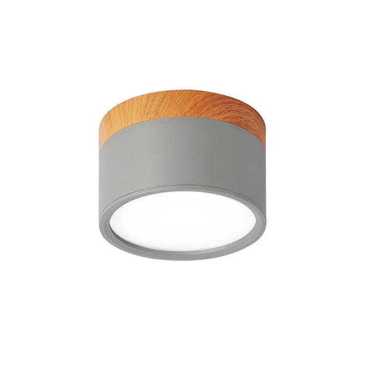 Floroux Cylindre LED Plafonniers pour Couloirs