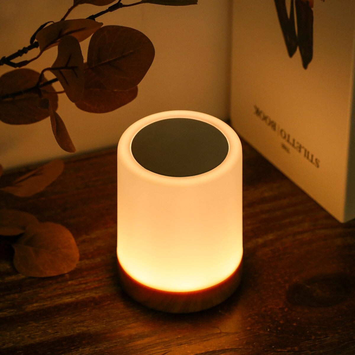 LAMPE DE TABLE SANS FIL TOUCH