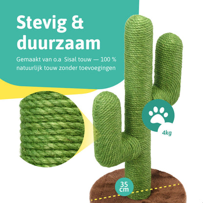 CatsCactus | Le griffoir le plus drôle pour les chats de tous les temps !
