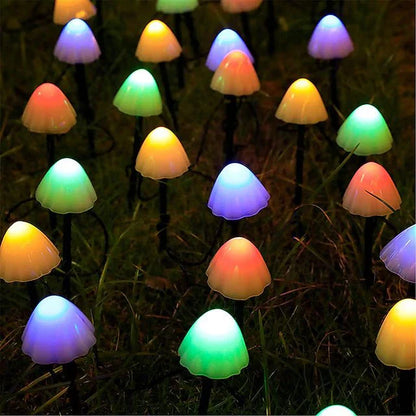Lucières de fées champignon