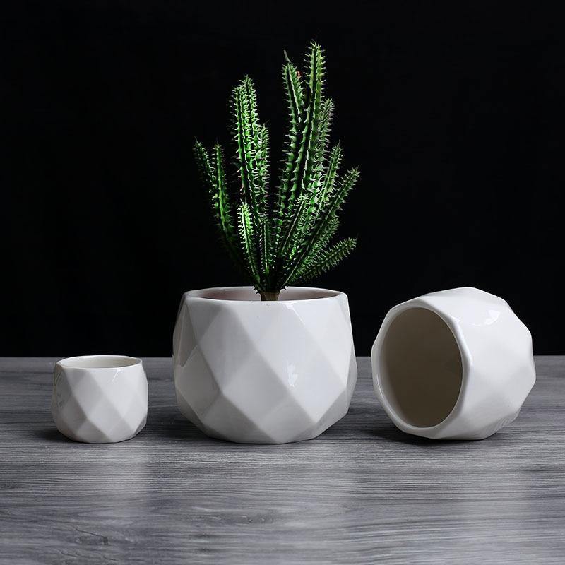 Diamond round ceramic succulent pots Floroux | Modern design | Multiple sizes