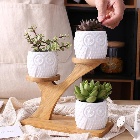 Floroux céramique hiboux pots de plantes succulentes avec étagère en bambou | Multi-niveaux | Rangement décoratif pour plantes