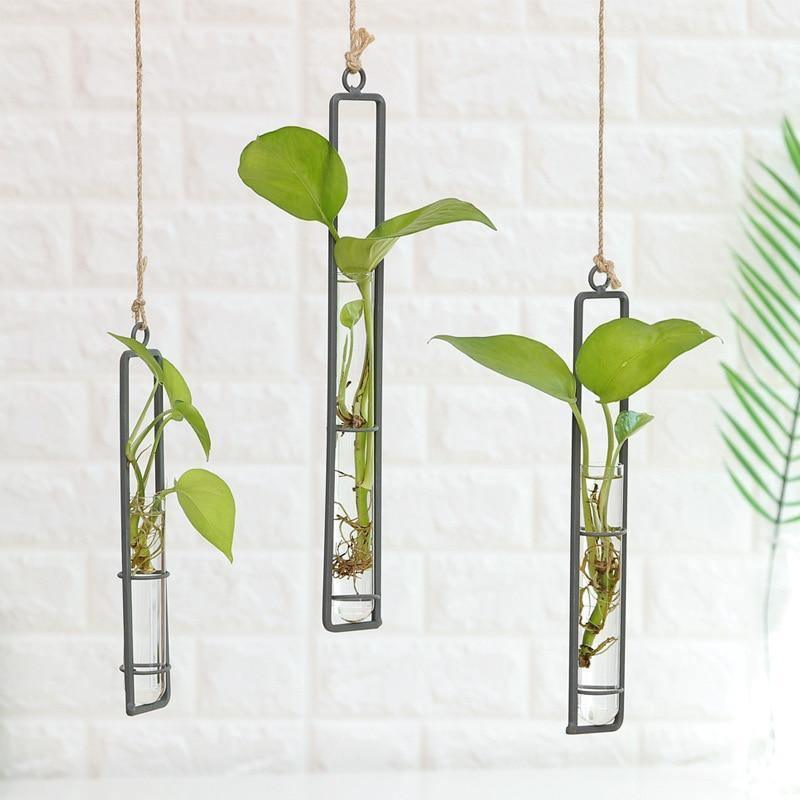 Floroux Hanging Glass Terrarium | Iron Stand | Modern Design | Perfect for Plant Propagation and Decoration