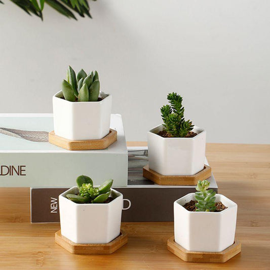 Floroux ceramic plant container | With bamboo saucer | Modern design for succulents