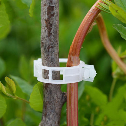Floroux Support de plante Clip Set | Stabilité pour les tiges de plantes | Fixation facile | Soutien pour une croissance saine
