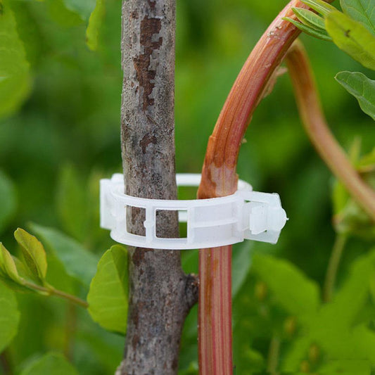 Floroux Support de plante Clip Set | Stabilité pour les tiges de plantes | Fixation facile | Soutien pour une croissance saine