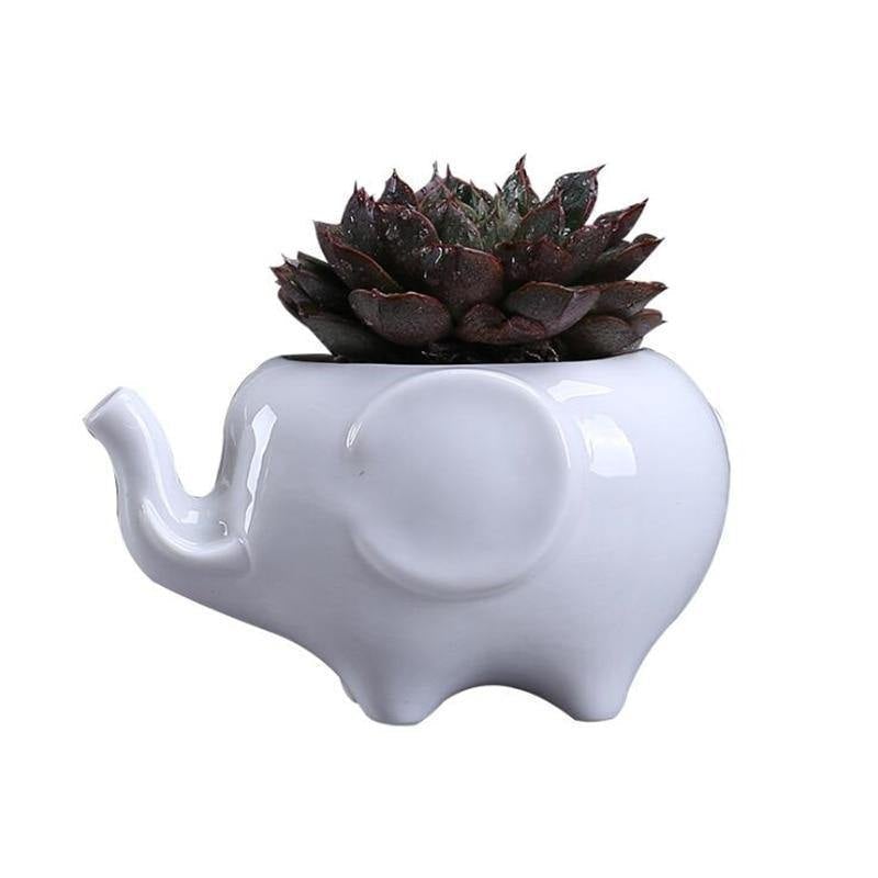 Floroux ceramic plant pot | Animal design | Perfect for succulents and herbs