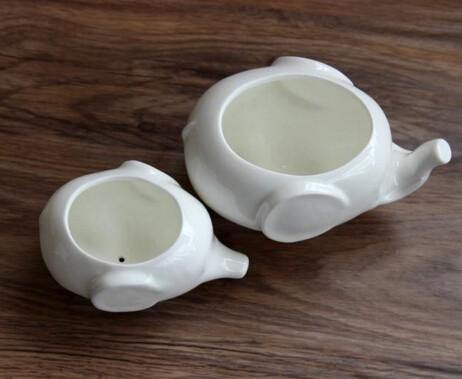 Floroux ceramic plant pot | Animal design | Perfect for succulents and herbs