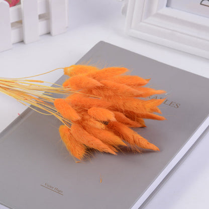 Bouquet séché naturel en herbe de pampas avec queue de lièvre (30 pièces)