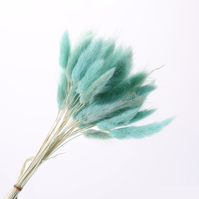Bouquet séché naturel en herbe de pampas avec queue de lièvre (30 pièces)