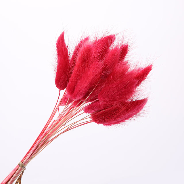 Bouquet séché naturel en herbe de pampas avec queue de lièvre (30 pièces)