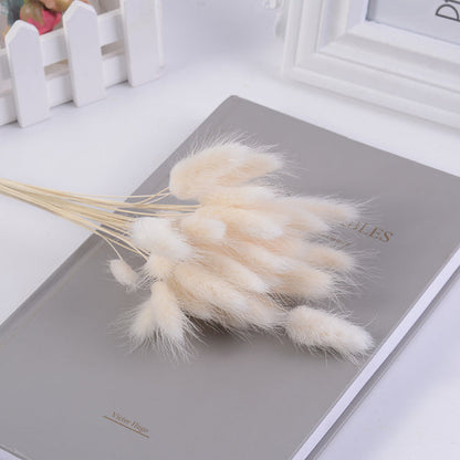 Bouquet séché naturel en herbe de pampas avec queue de lièvre (30 pièces)