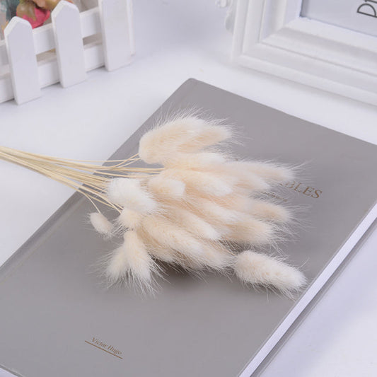 Bouquet séché naturel en herbe de pampas avec queue de lièvre (30 pièces)