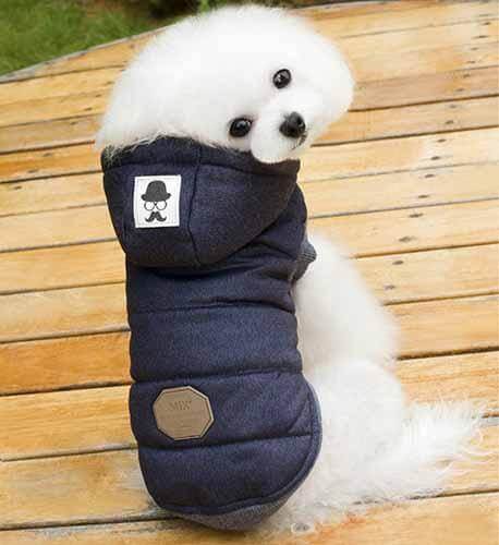 Joli manteau d'hiver pour animaux de compagnie pour chats et chiens
