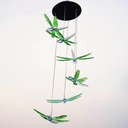 Floroux LED Solaire Colibri DrangFly Lampe