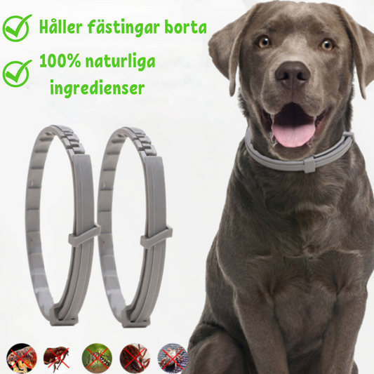 FleaShield Collier – Protection contre les puces et les tiques