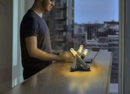 Floroux Modern LED Table Lamp | Wireless | Touch Dimming | Ambient Light | Decorative Light for the Home