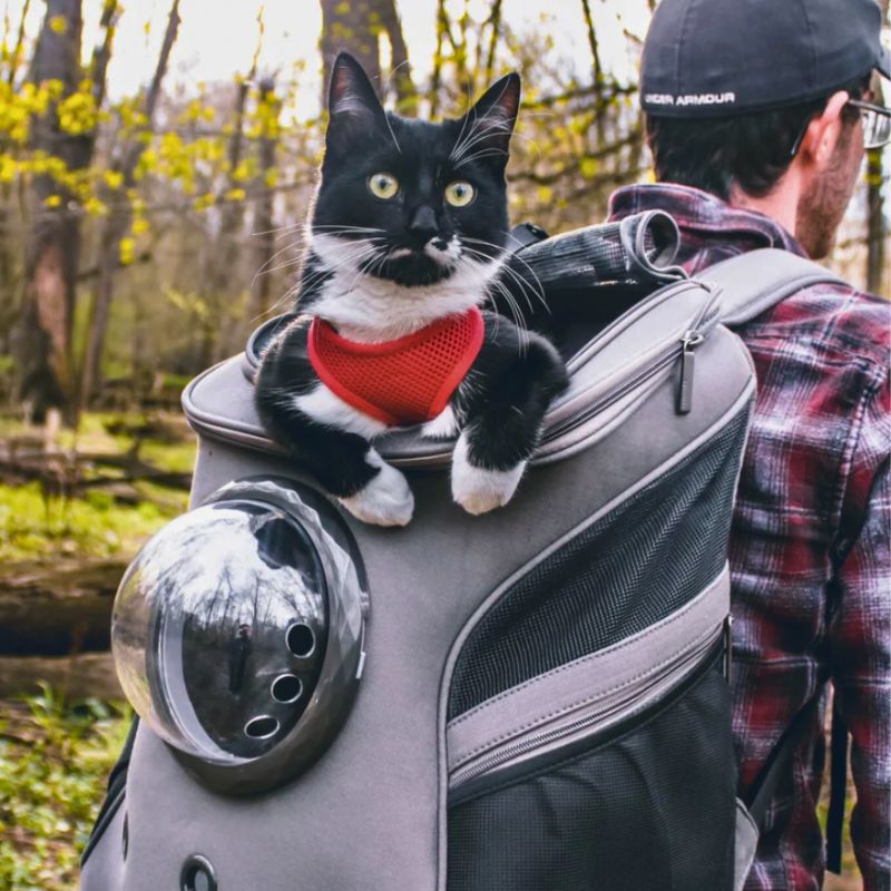 CatTrekker - Sac de transport pour chat de luxe avec vue panoramique