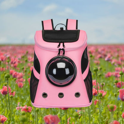 CatTrekker - Sac à dos de luxe pour chats avec vue panoramique