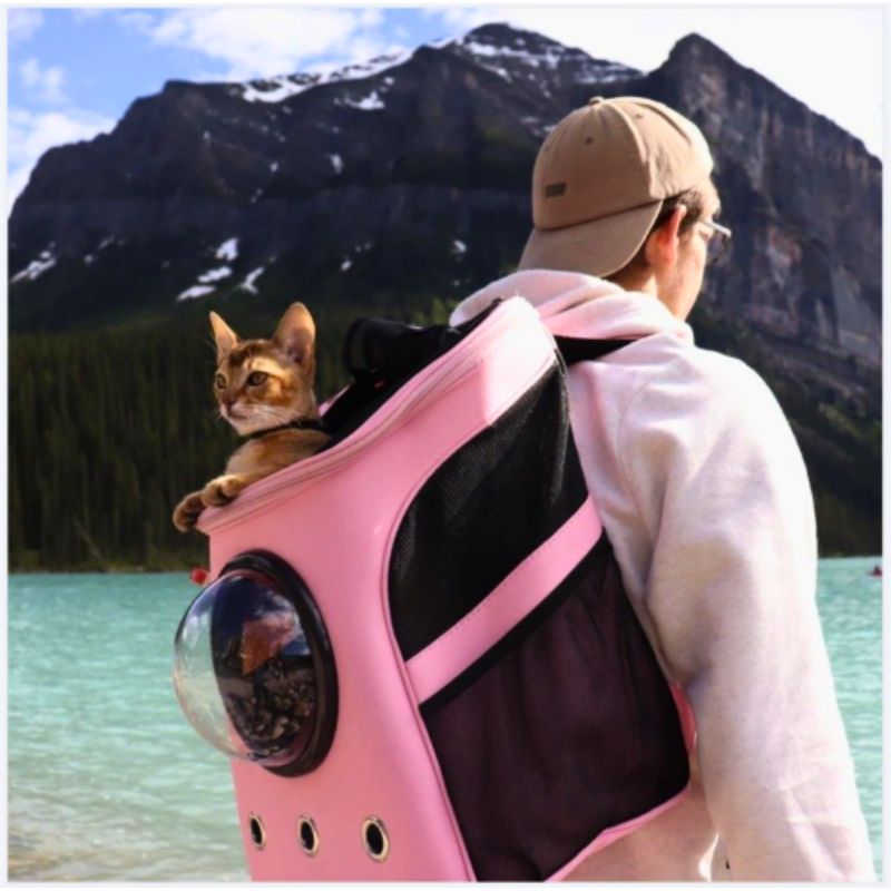 CatTrekker - Sac de transport pour chat de luxe avec vue panoramique