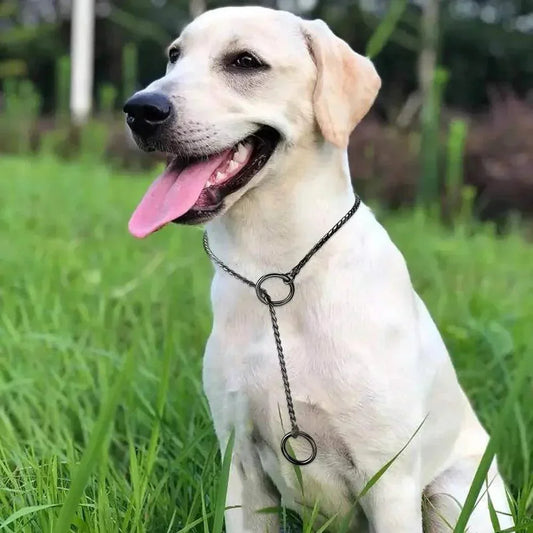Collier de chien avec chaîne serpent, en acier inoxydable, chaînes en métal pour animaux de compagnie, collier d'entraînement pour exposition canine, collier pour chiot avec maillons cubains