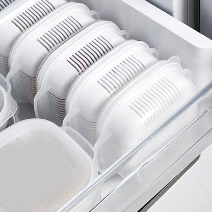 Floroux | Boîte Bento avec Drainage | Conservation Hermétique