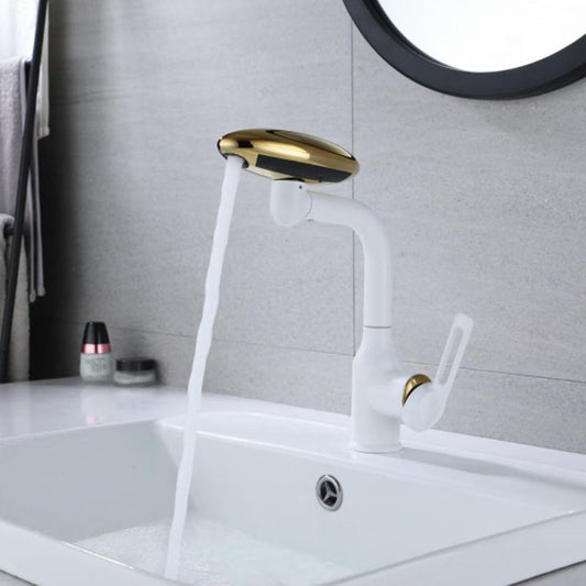 Robinet pivotant multifonction universel