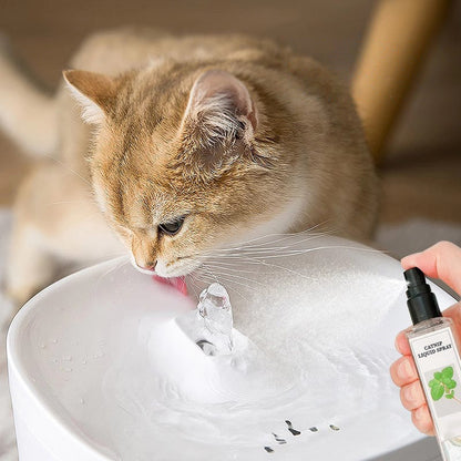 Spray liquide à l'herbe à chat - Sûr, pur et efficace