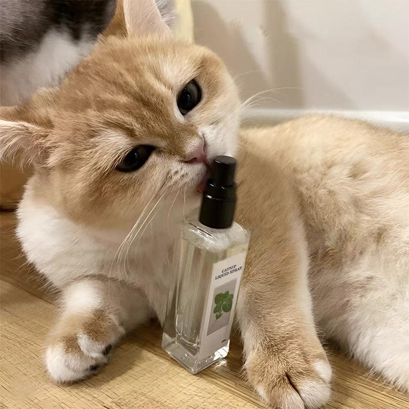 Spray liquide à l'herbe à chat - Sûr, pur et efficace