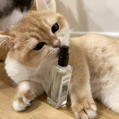 Spray liquide à l'herbe à chat - Sûr, pur et efficace