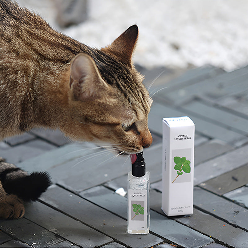 Spray liquide à l'herbe à chat - Sûr, pur et efficace