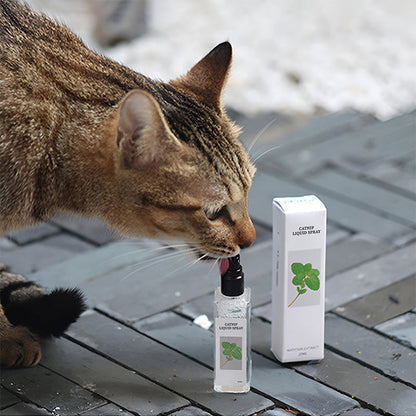 Spray liquide à l'herbe à chat - Sûr, pur et efficace