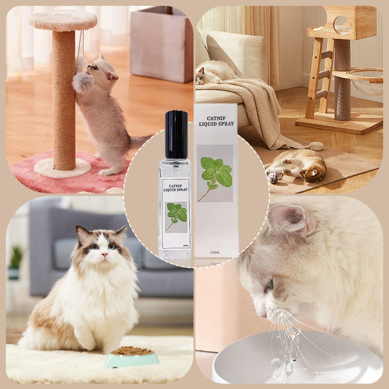 Spray liquide à l'herbe à chat - Sûr, pur et efficace