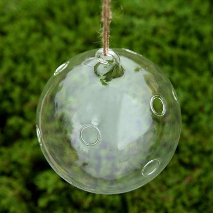 Floroux Hanging Glass Terrarium Vase | Decorative Glass Ball | Plant Container for Home & Office