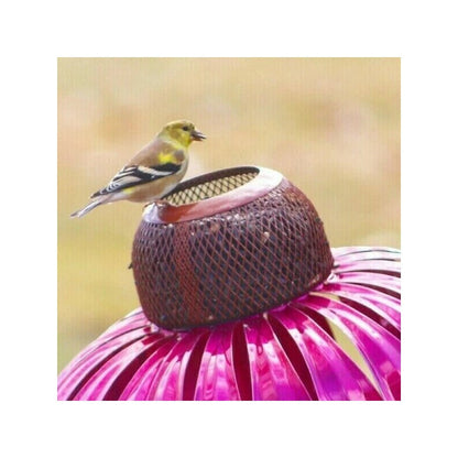 FloraFeeder Nourriture pour oiseaux – Décoration de jardin élégante pour oiseaux